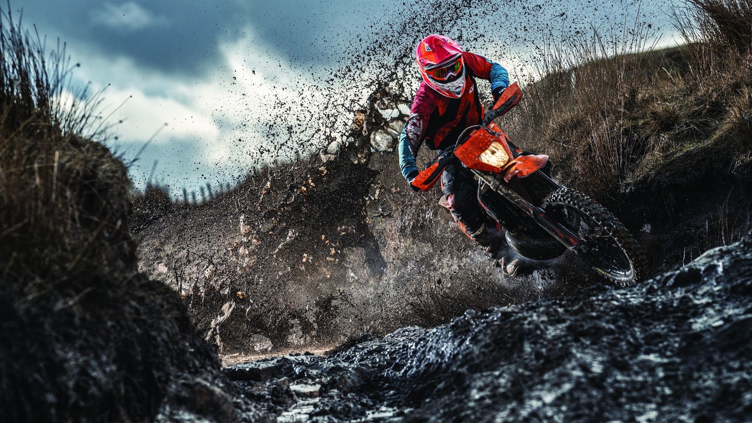 克罗地亚马术协会推出马术运动员健康管理系统，关注运动员身心健康。